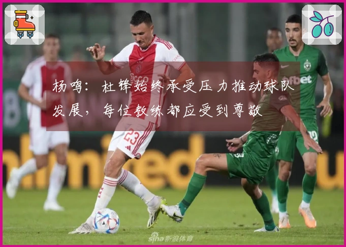 杨鸣：杜锋始终承受压力推动球队发展，每位教练都应受到尊敬